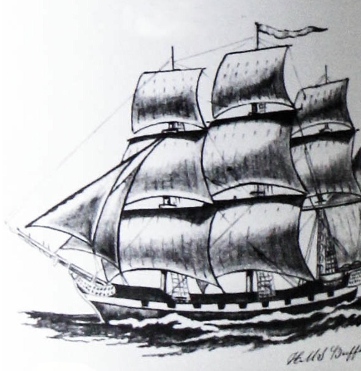 帆船插图——Frank Potts 1836 年乘 HMS Buffalo 抵达南澳